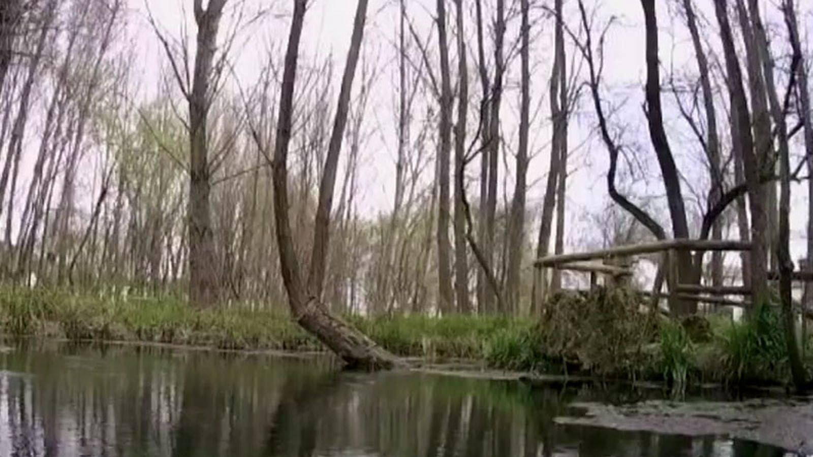 Tierra y mar noticia destacada bosques
