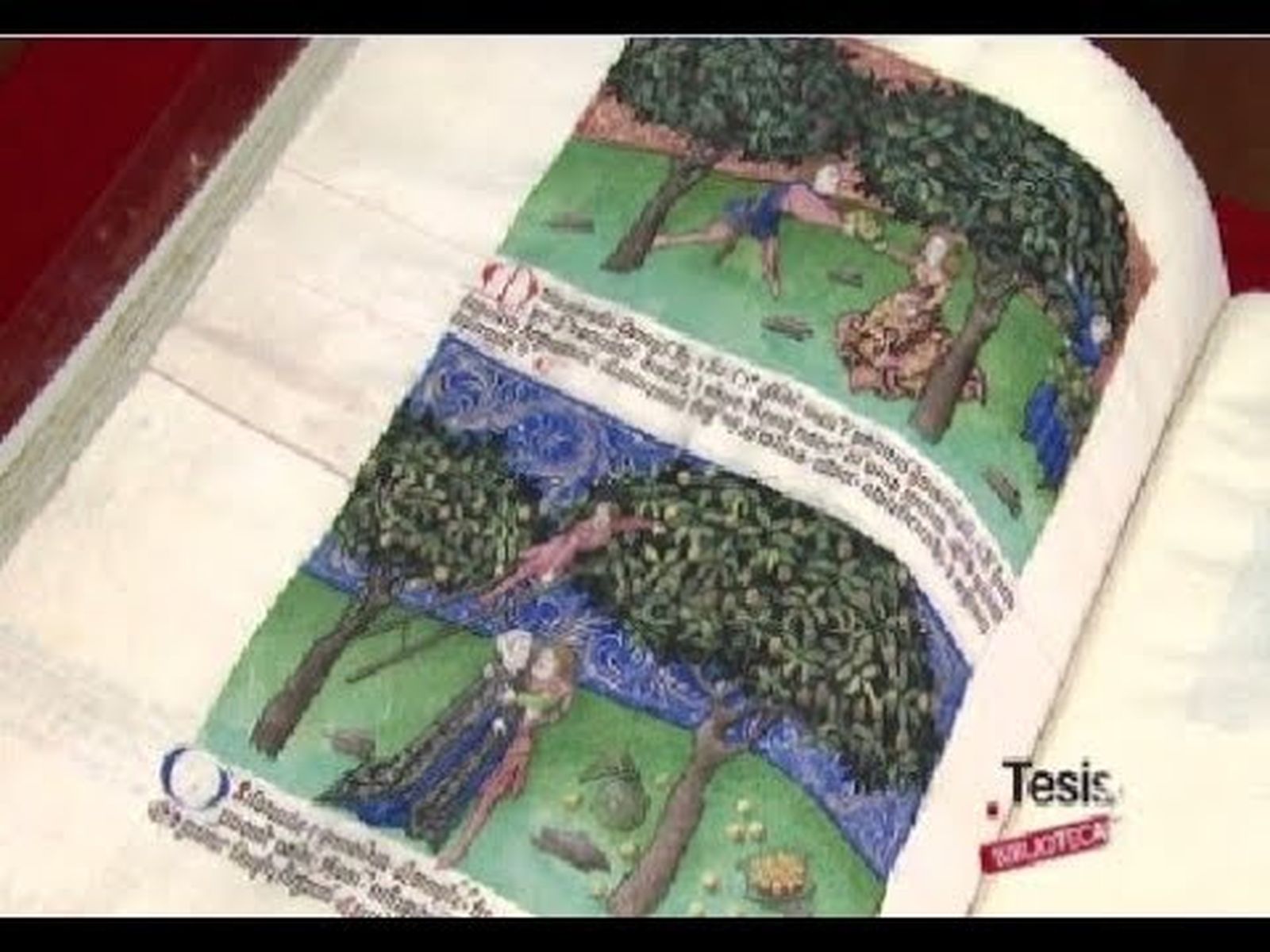 La biblioteca de la Universidad de Granada, un tesoro de libros y arquitectura