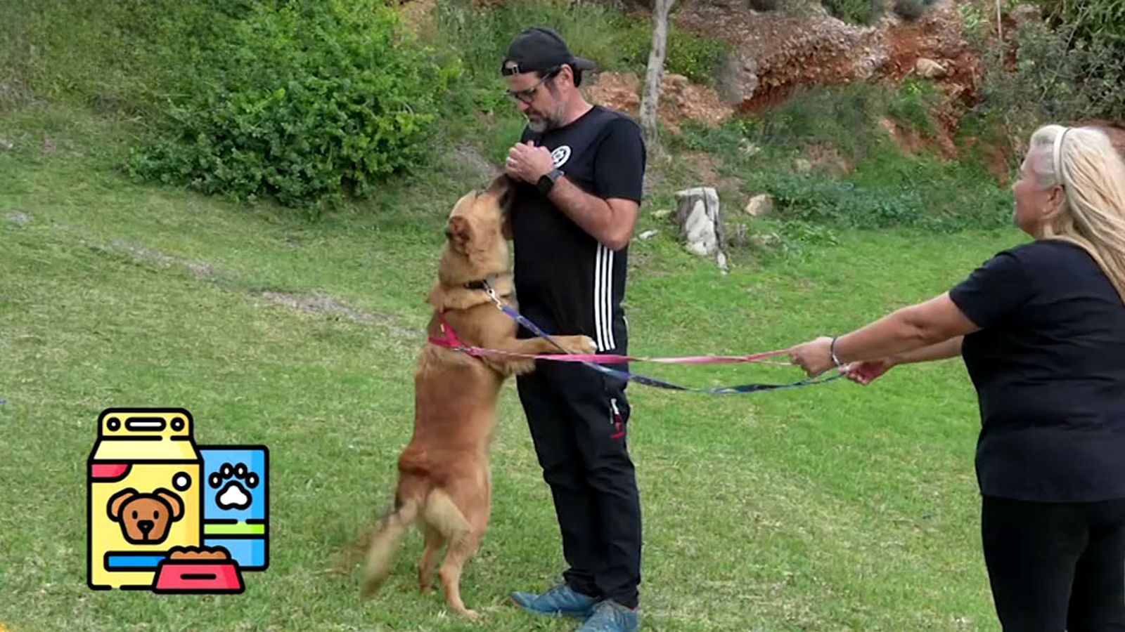 Aprende a evitar que tu perro se abalance sobre ti