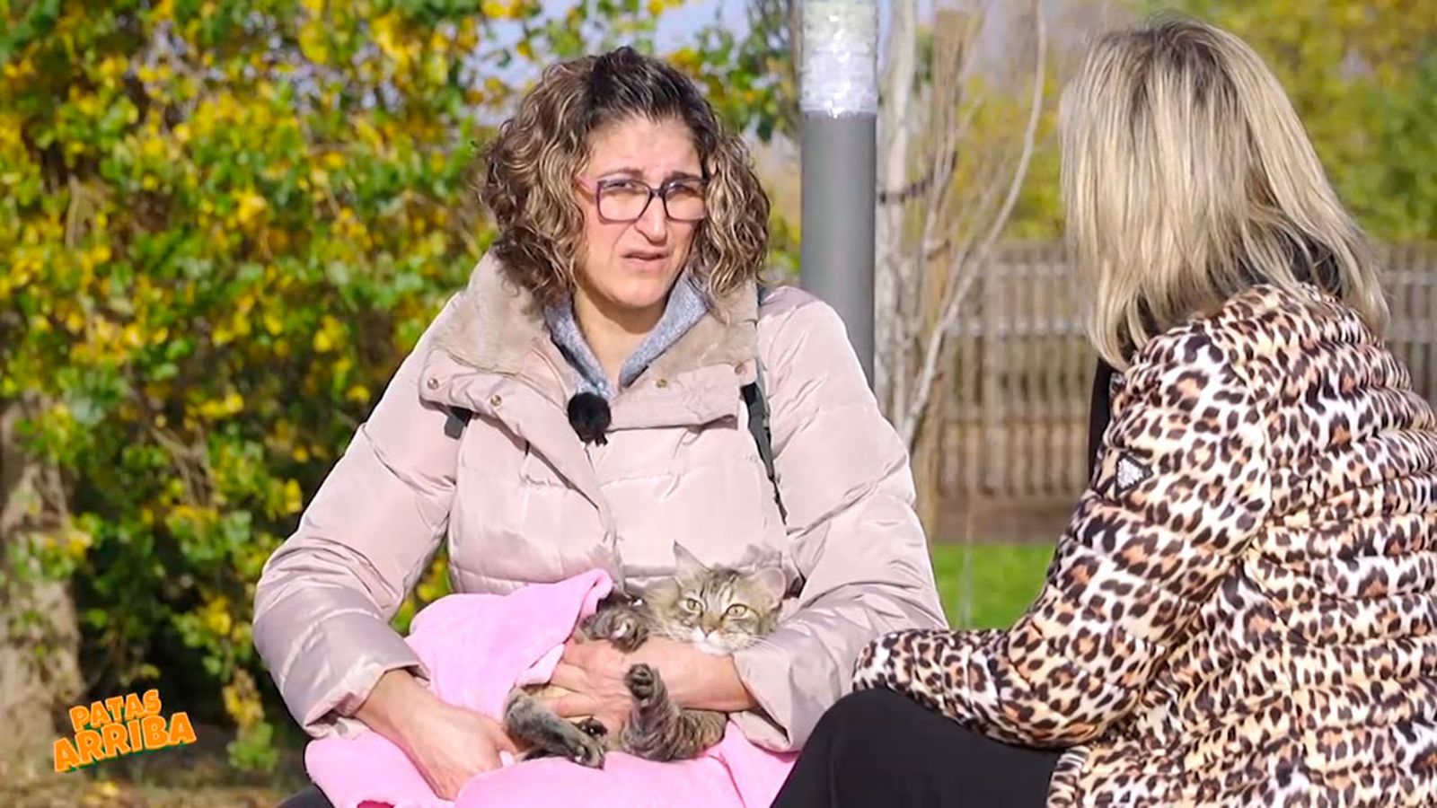 Atenea, una gatita con una discapacidad que ha forjado un vínculo con Queti, su Karen