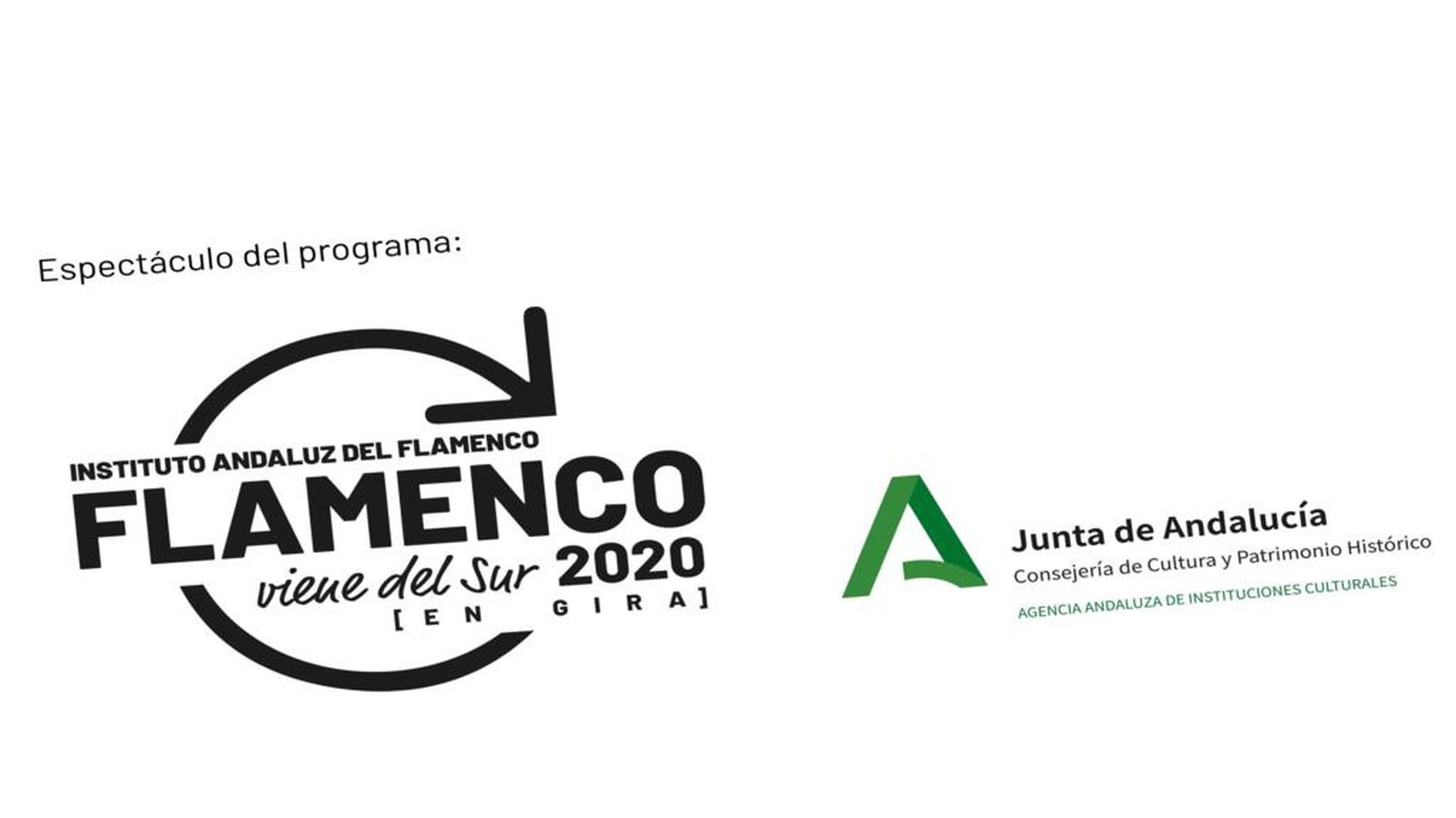 Flamenco viene del sur 2020