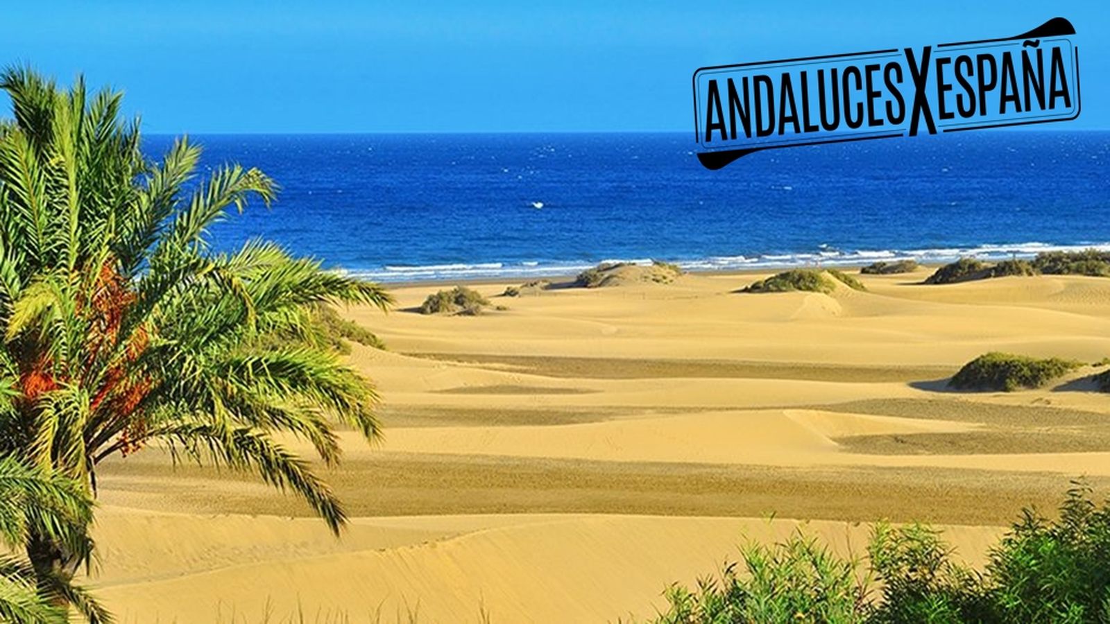 Andaluces por España | 2 julio, Gran Canaria