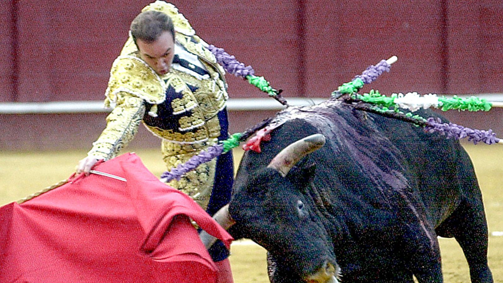 Torero Ricardo Ortiz, muerto por un toro en los corrales de la Málagueta