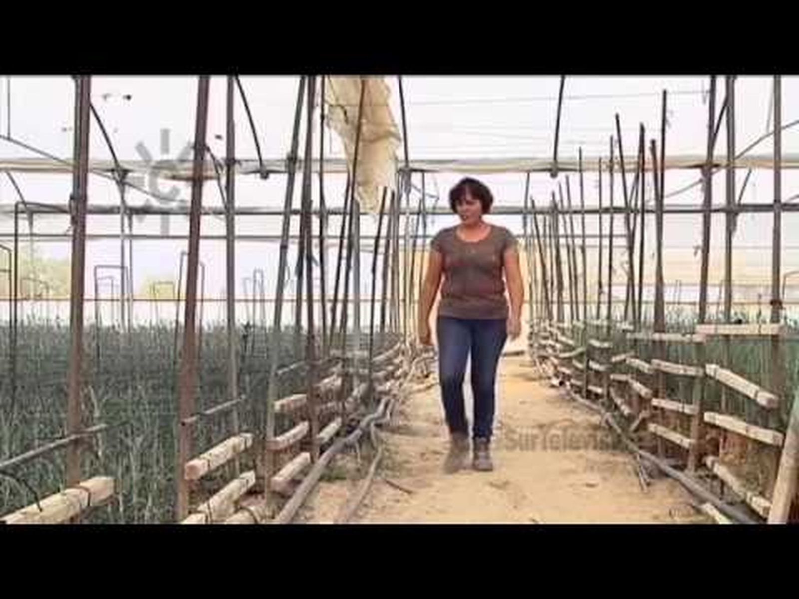 Mujeres rurales en Andalucía