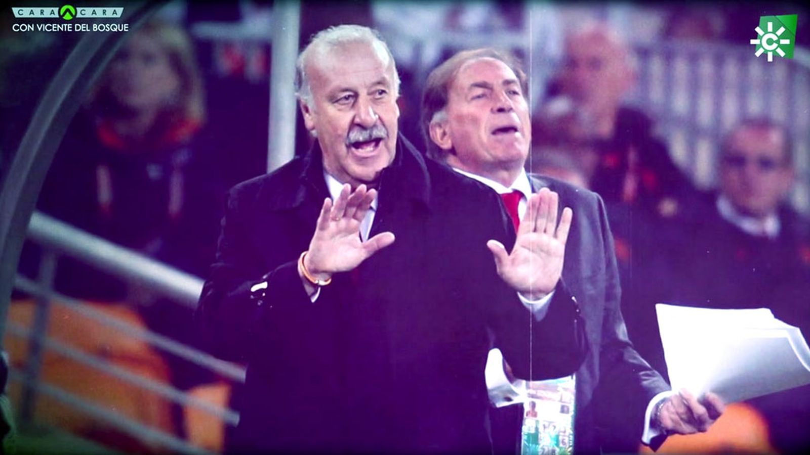 ¿Cómo vivió del Bosque la final del Mundial de Sudáfrica?