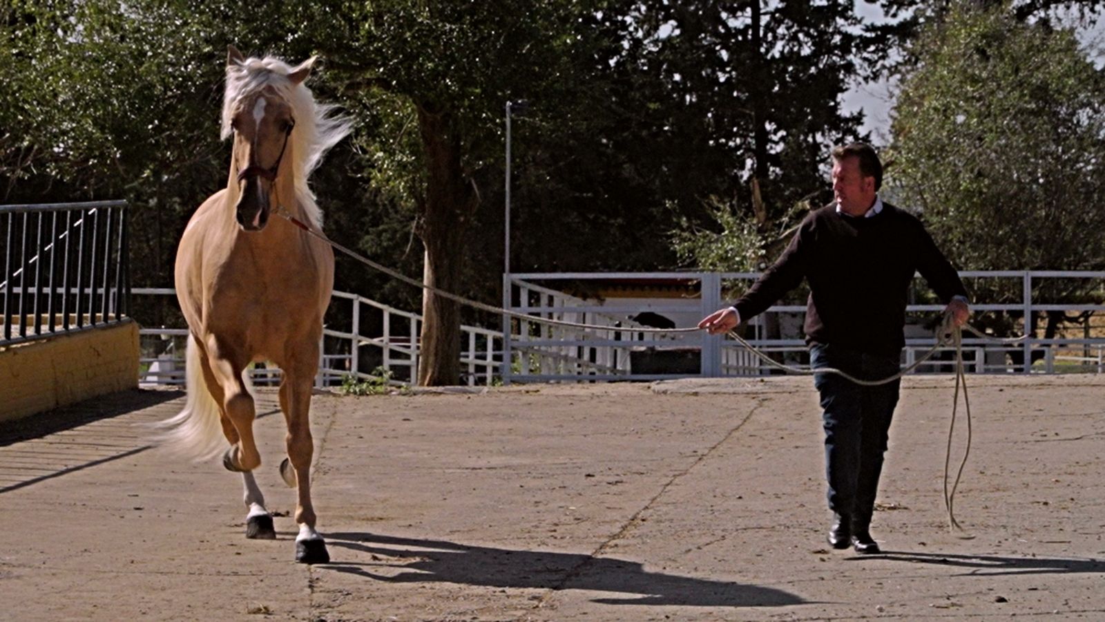 25_todo_caballo_llargues