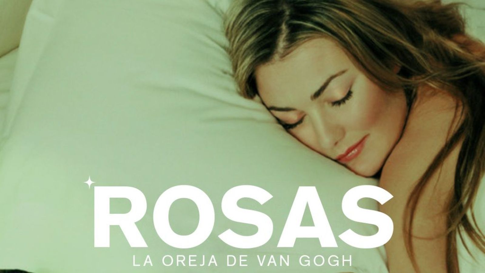 Rosas LODVG