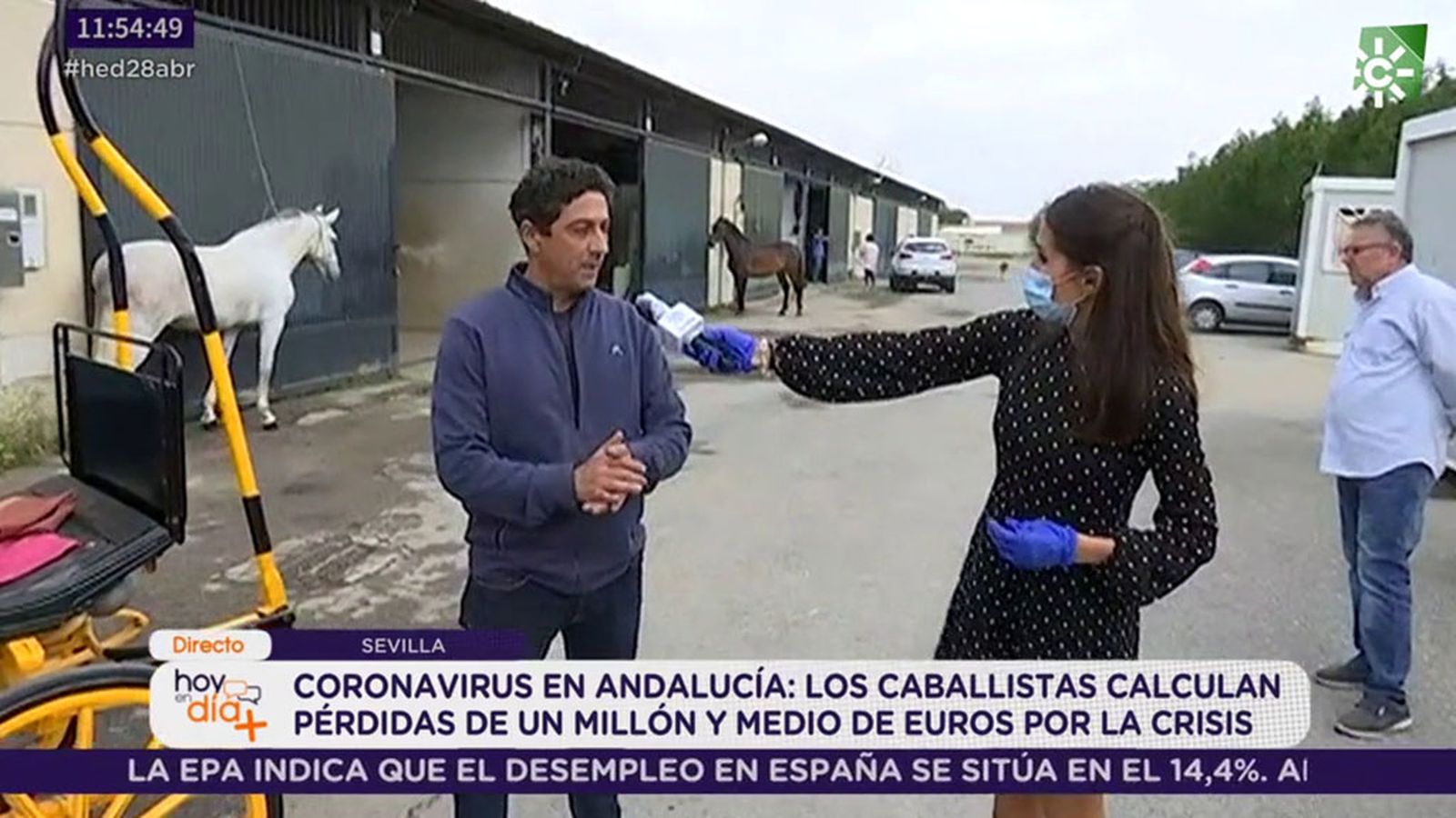 foto caballistas