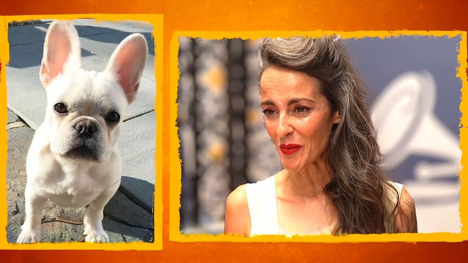La familia animal de la cantante Vega