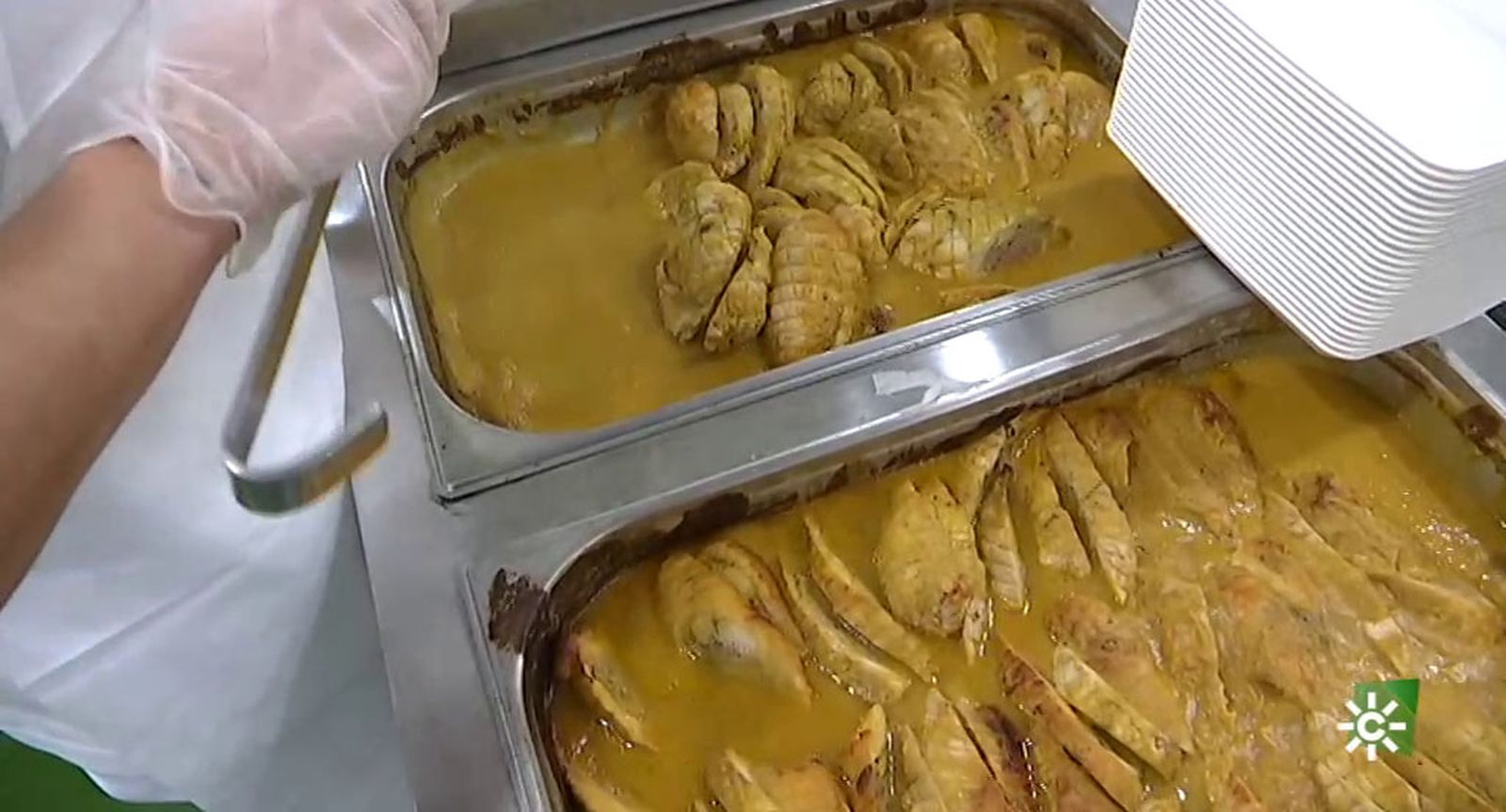 FOTO ENDOCRINO