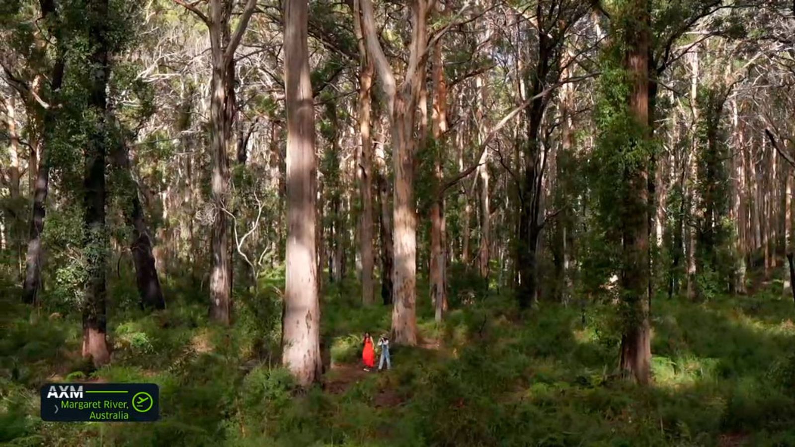 María, malagueña, nos lleva a descubrir árboles karri, gigantes de hasta 90 metros de altura en Margaret River