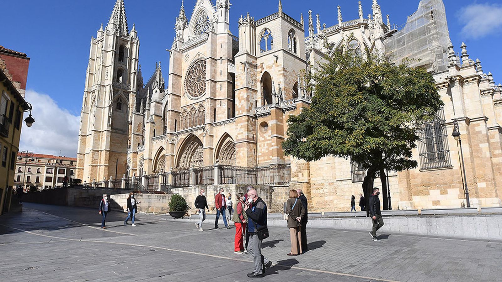 tapa palencia