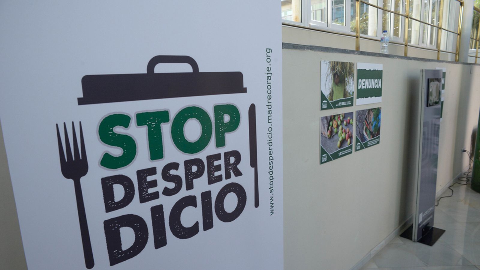 solidarios