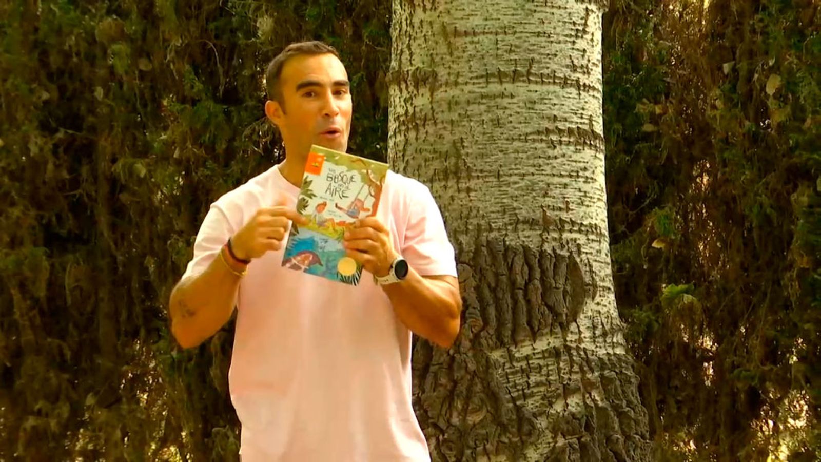 'Un bosque en el aire', el lugar perfecto para que surja la magia
