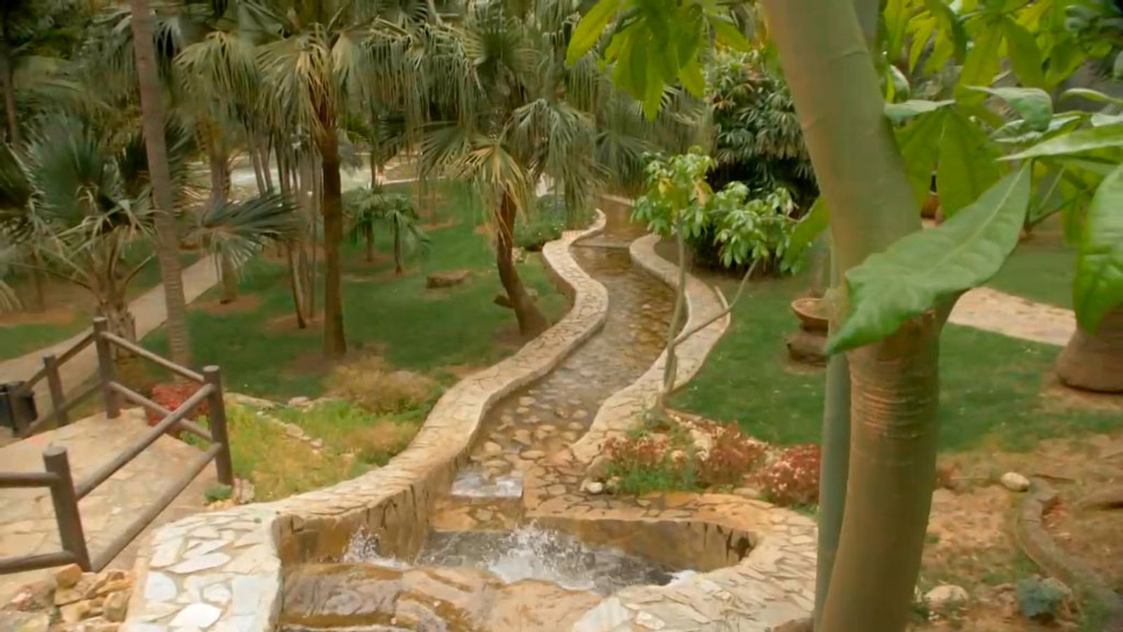 El jardín Botánico Molino de Inca, un oasis de tranquilidad