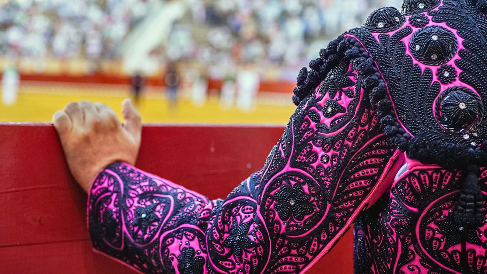Toros foto recurso 1024 px