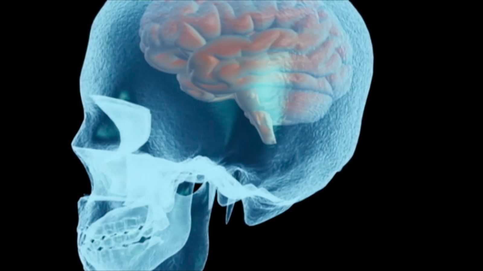 Mente y cerebro