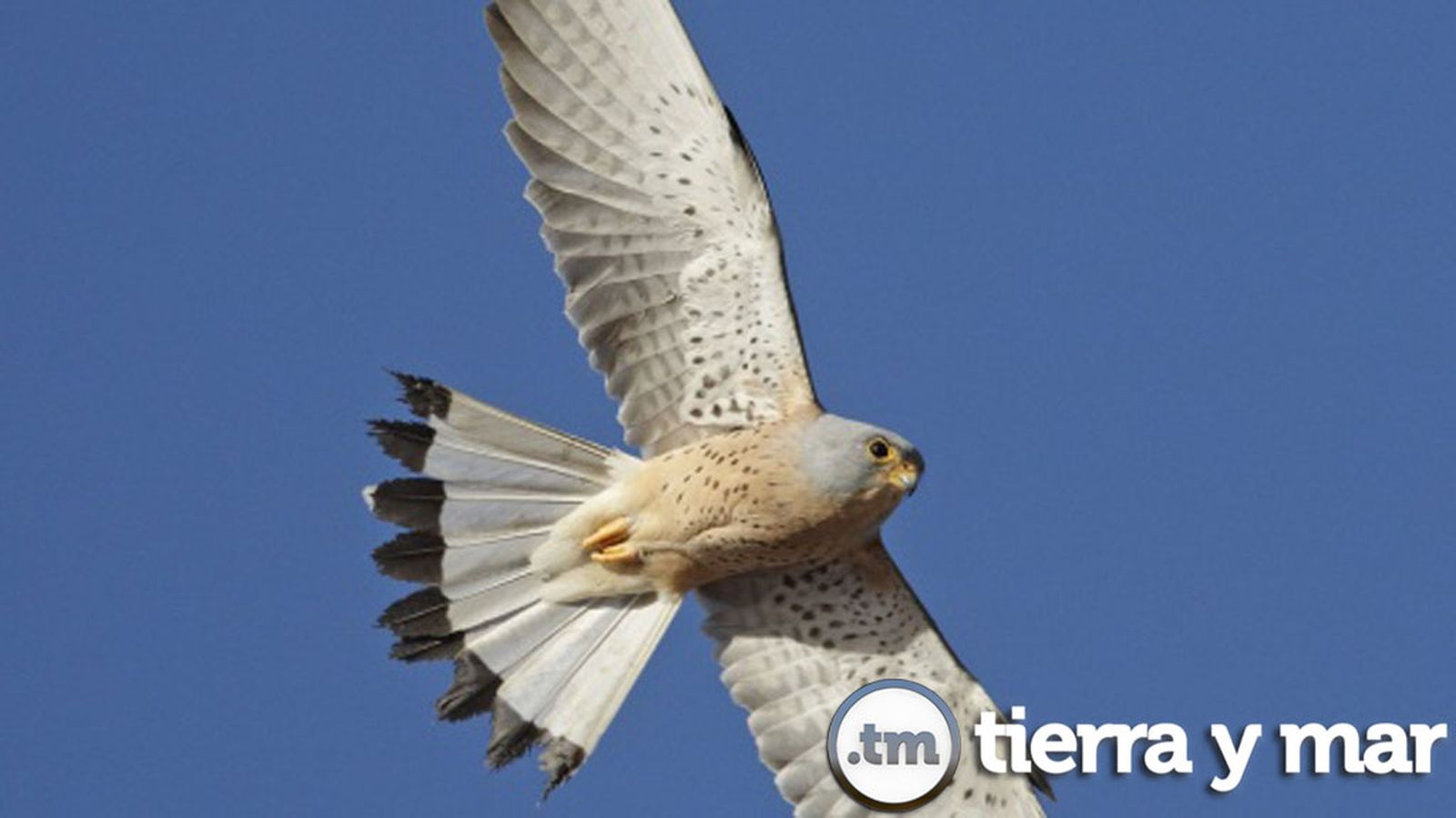 Comunicación Tierra Y Mar Foto