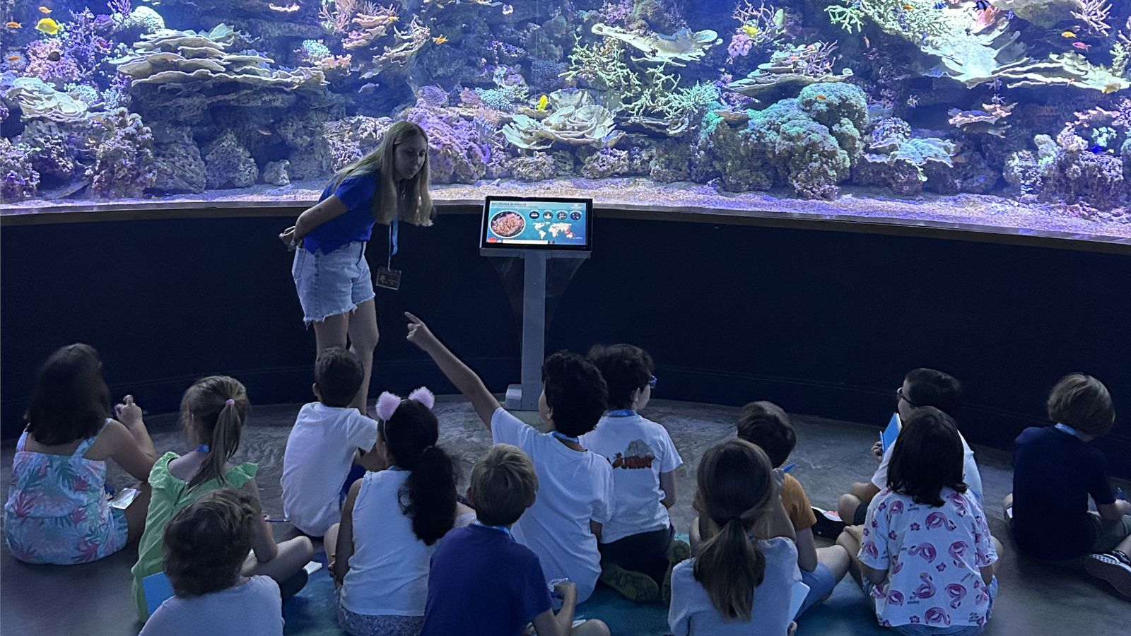 acuario de sevilla la banda