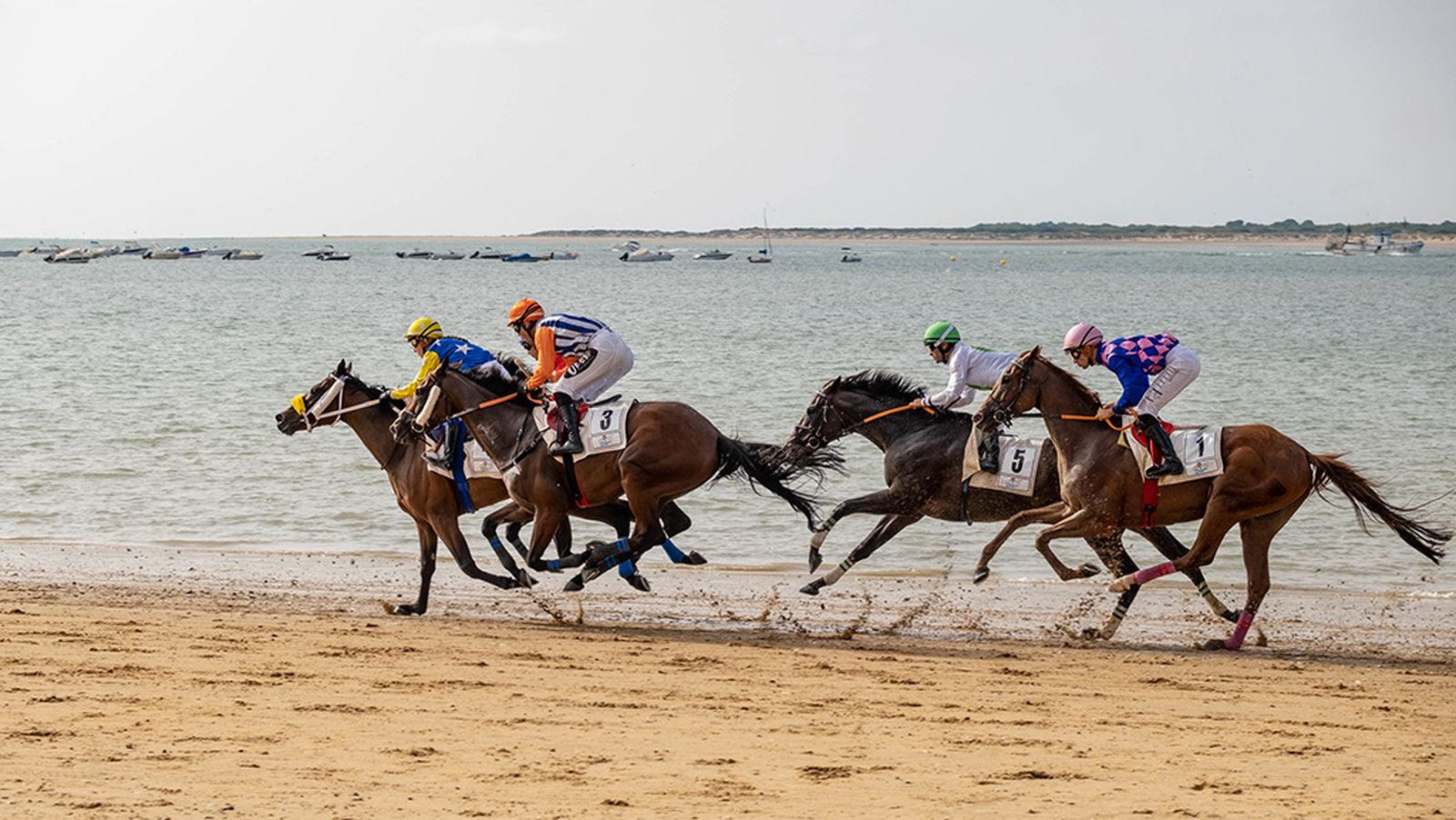 Carreras de caballos de Sanlucar segundo ciclo 2