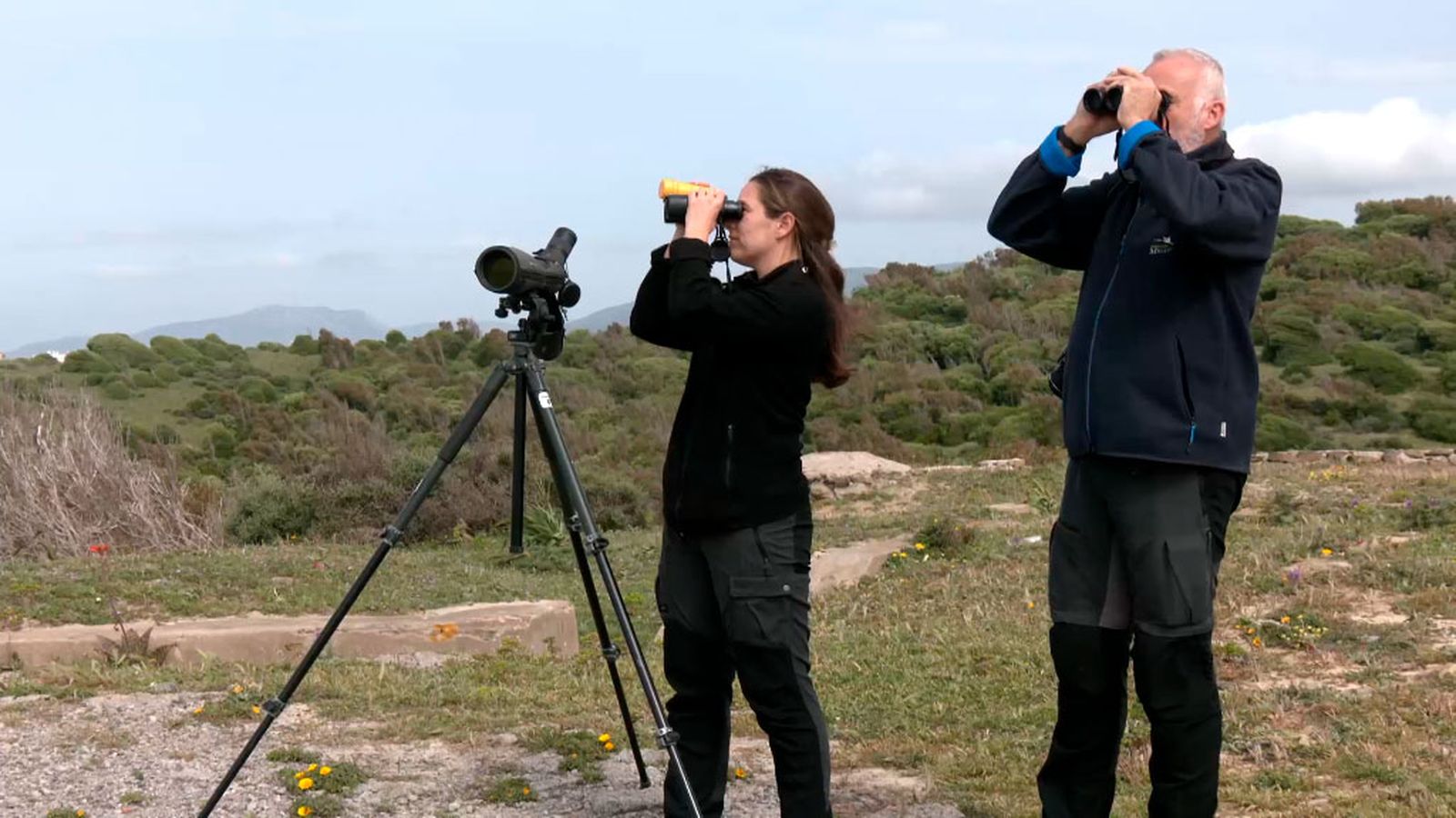 El cambio del gran viaje de las aves migratorias