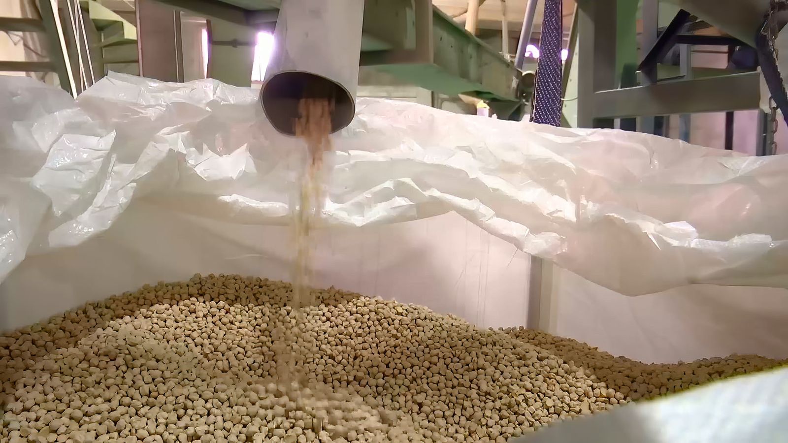 Los garbanzos de Escacena del Campo
