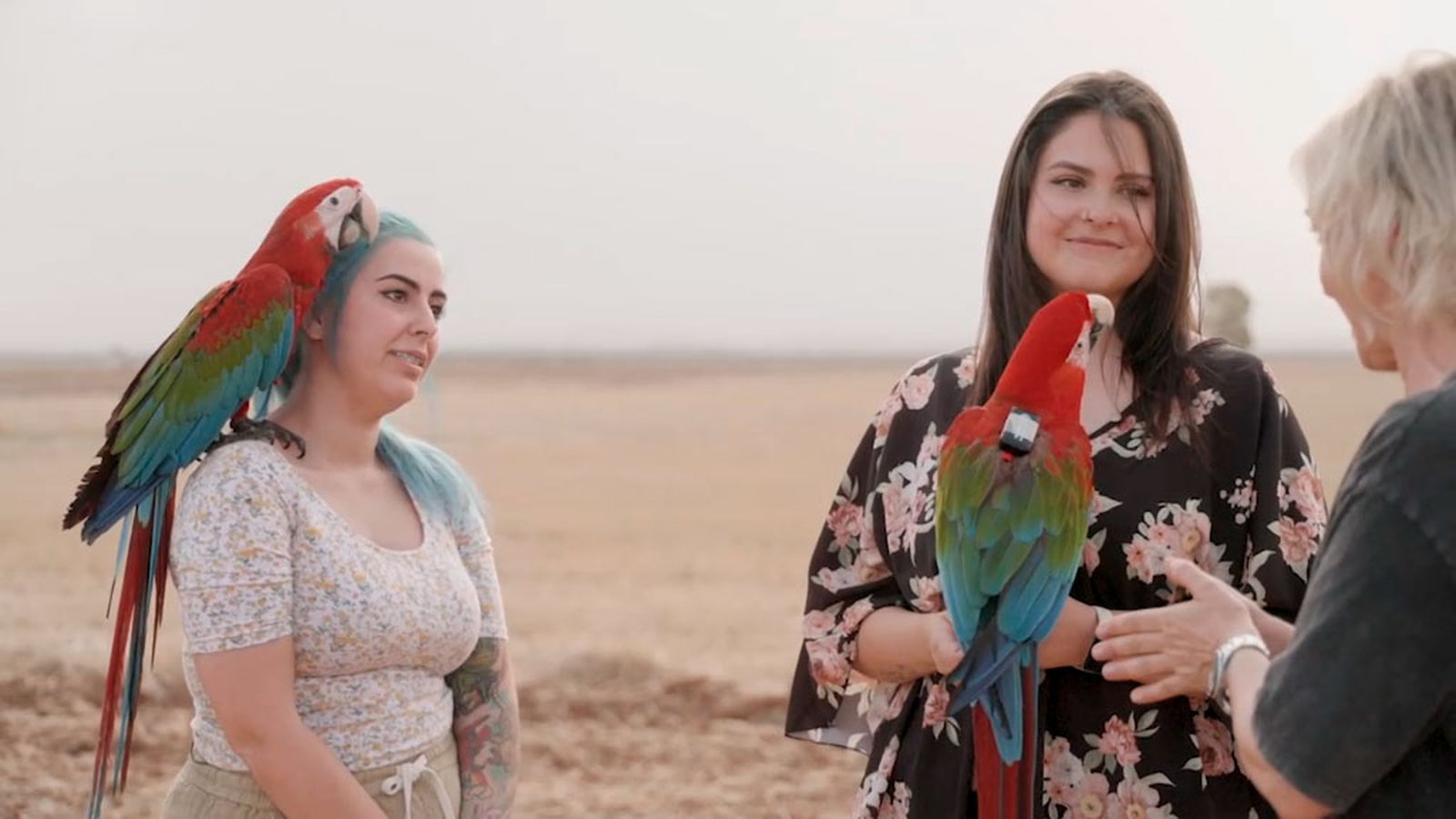 Kyubi y Alana, dos guacamayas muy exóticas