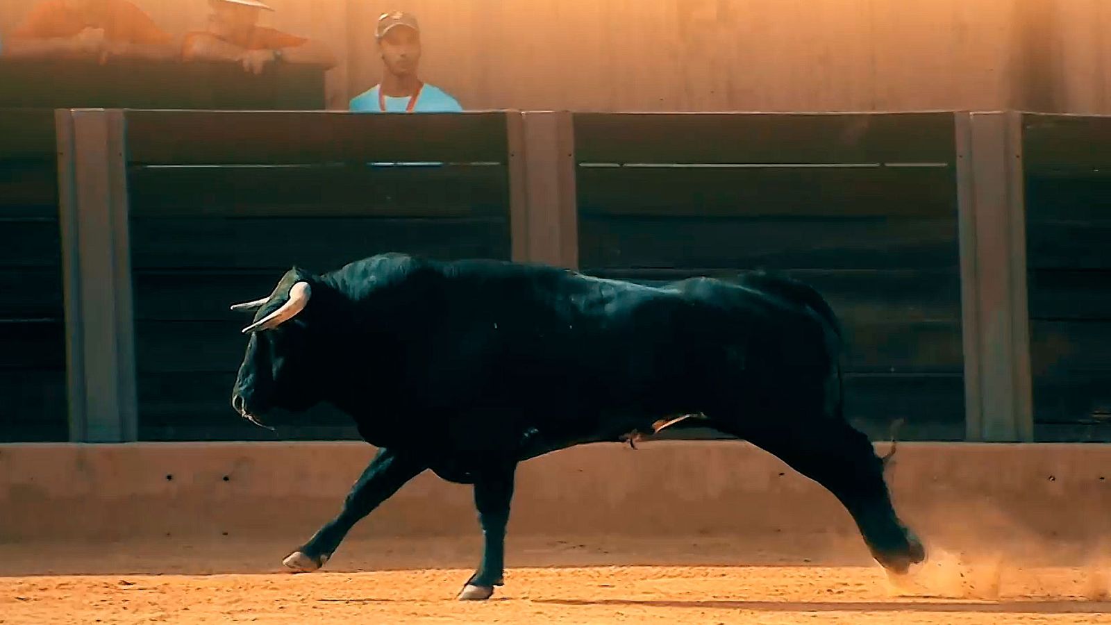Corrida de rejones desde Algeciras en Canal Sur Televisión.