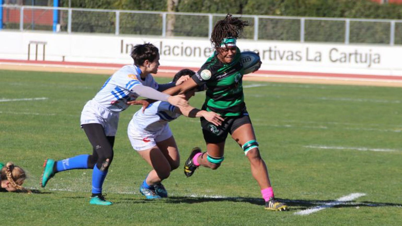 Cocodrilas rugby 1024