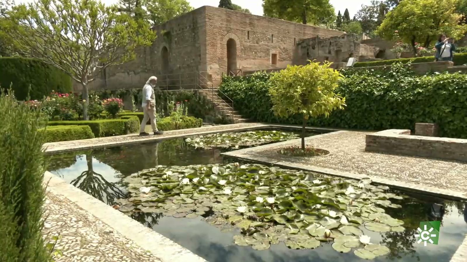 El bosque, los jardines y las huertas de la Alhambra, un oasis de biodiversidad