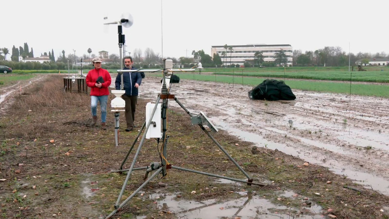 Organismos públicos vigilan el clima y el agua para proteger el campo y a la población ok