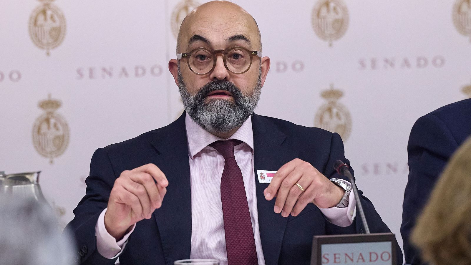 Luis Pedro de Marco, presidente de Adif, en el Senado