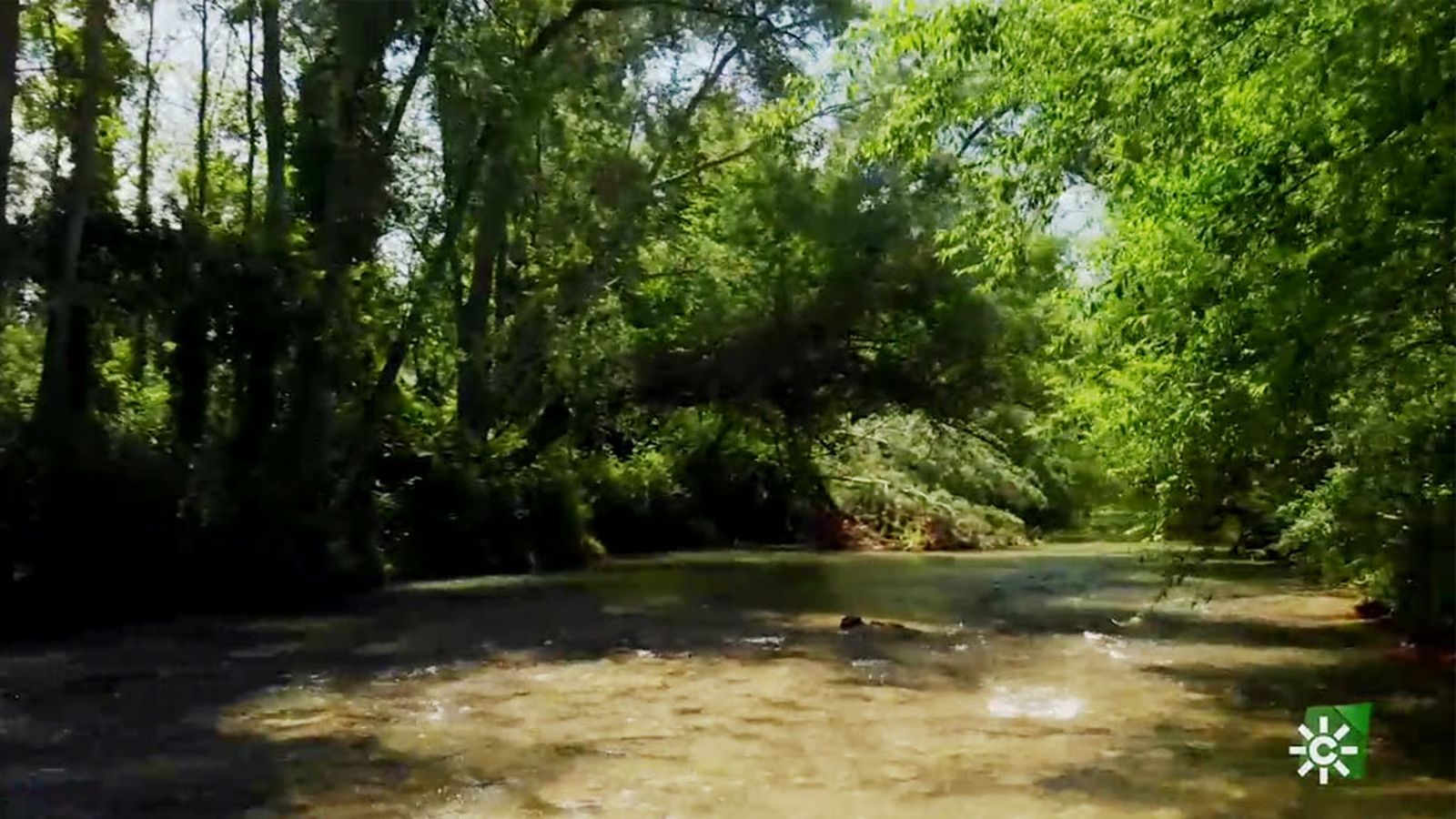 Gualdaquivir, un río de leyenda