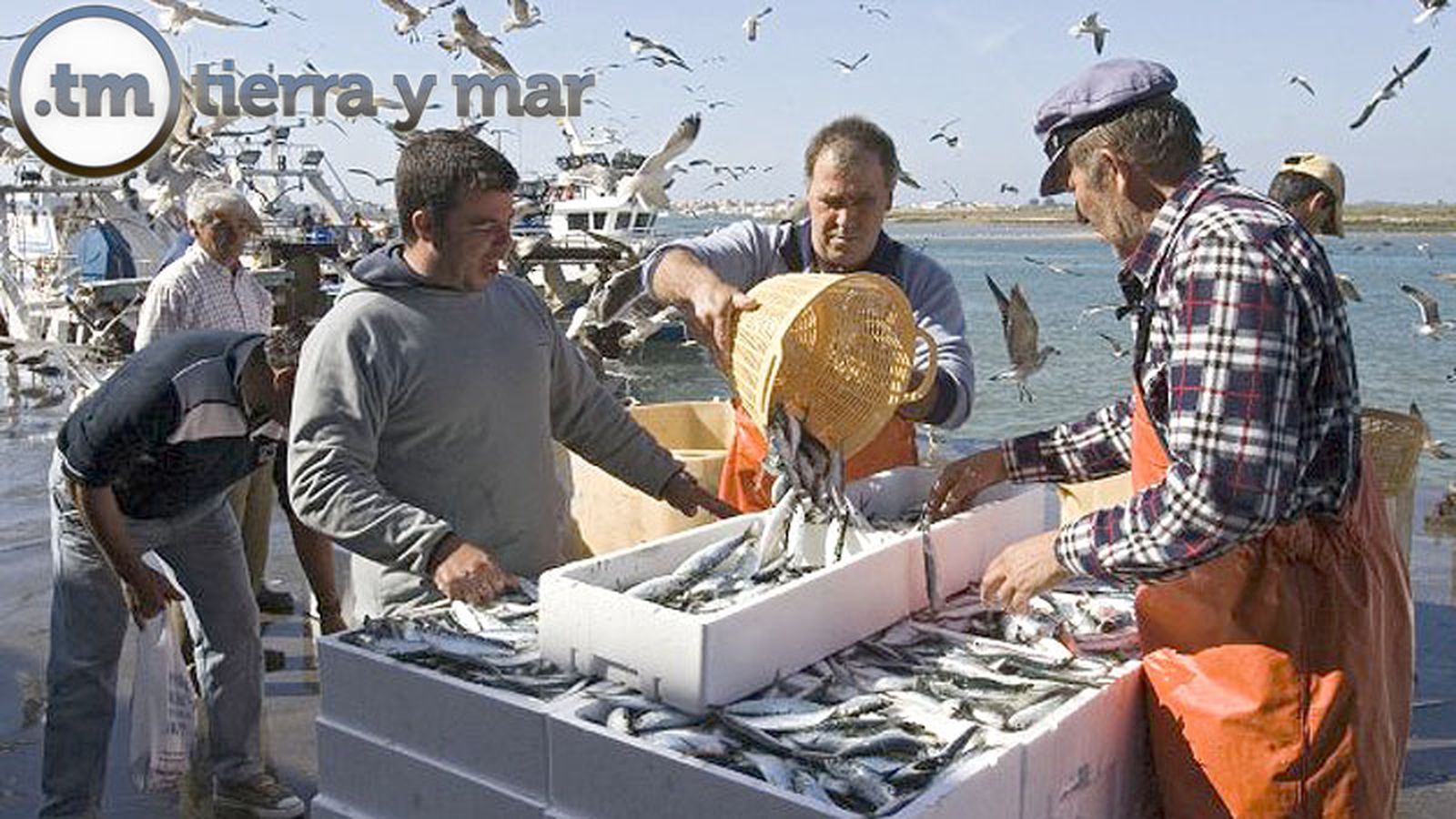 Tierra y Mar comunicación foto