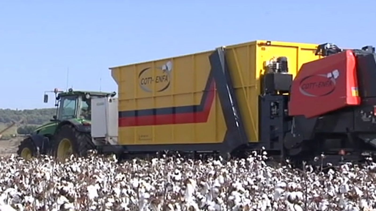 Algodón empacadora Cádiz 1024