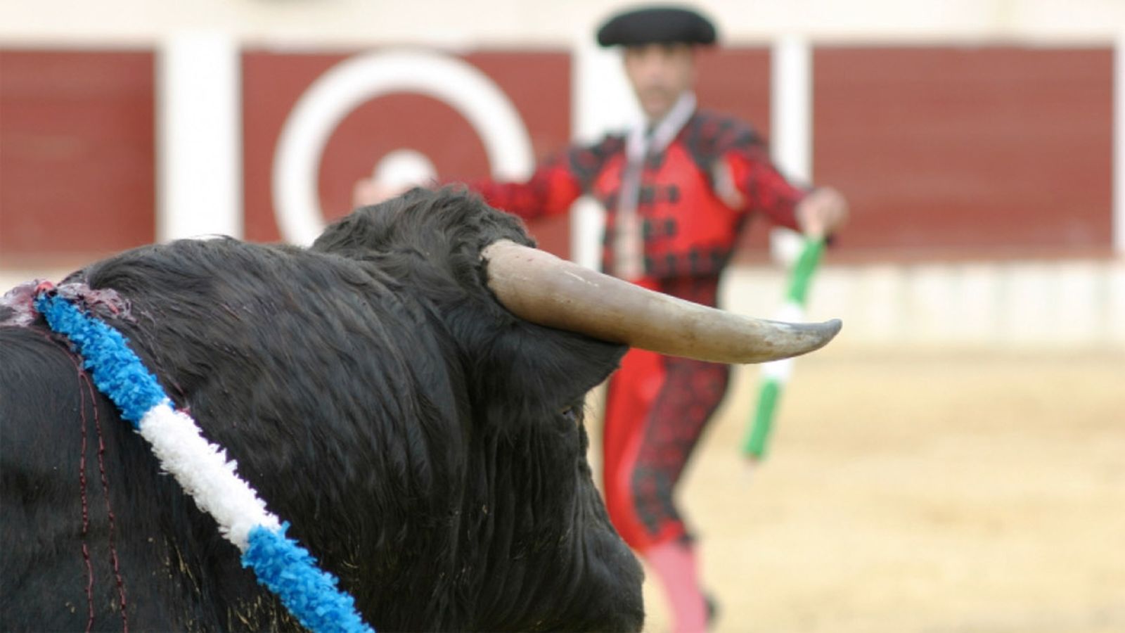 Toros Novillada