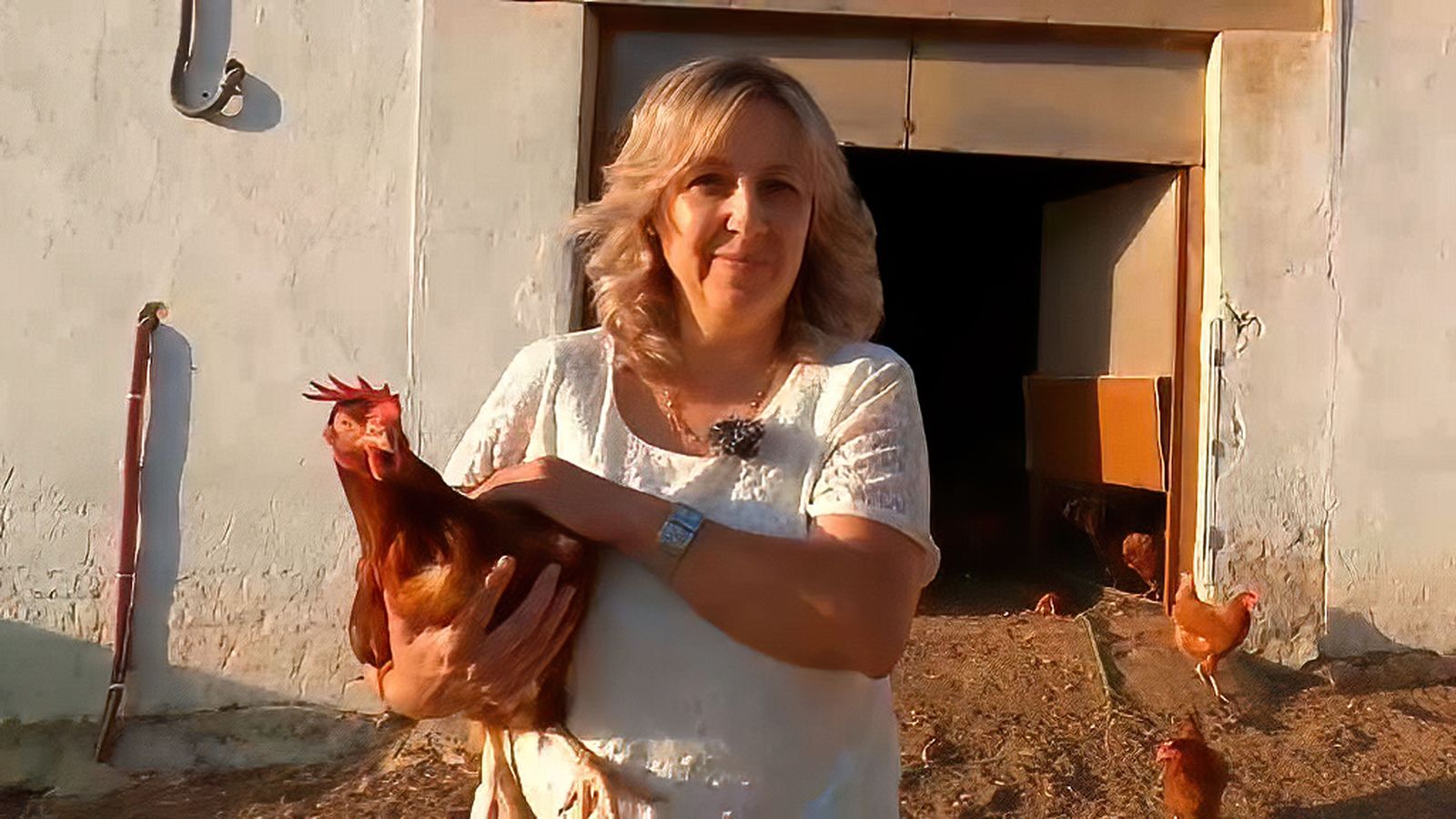 En Alcolea del Río ha emprendido con una granja de gallinas camperas