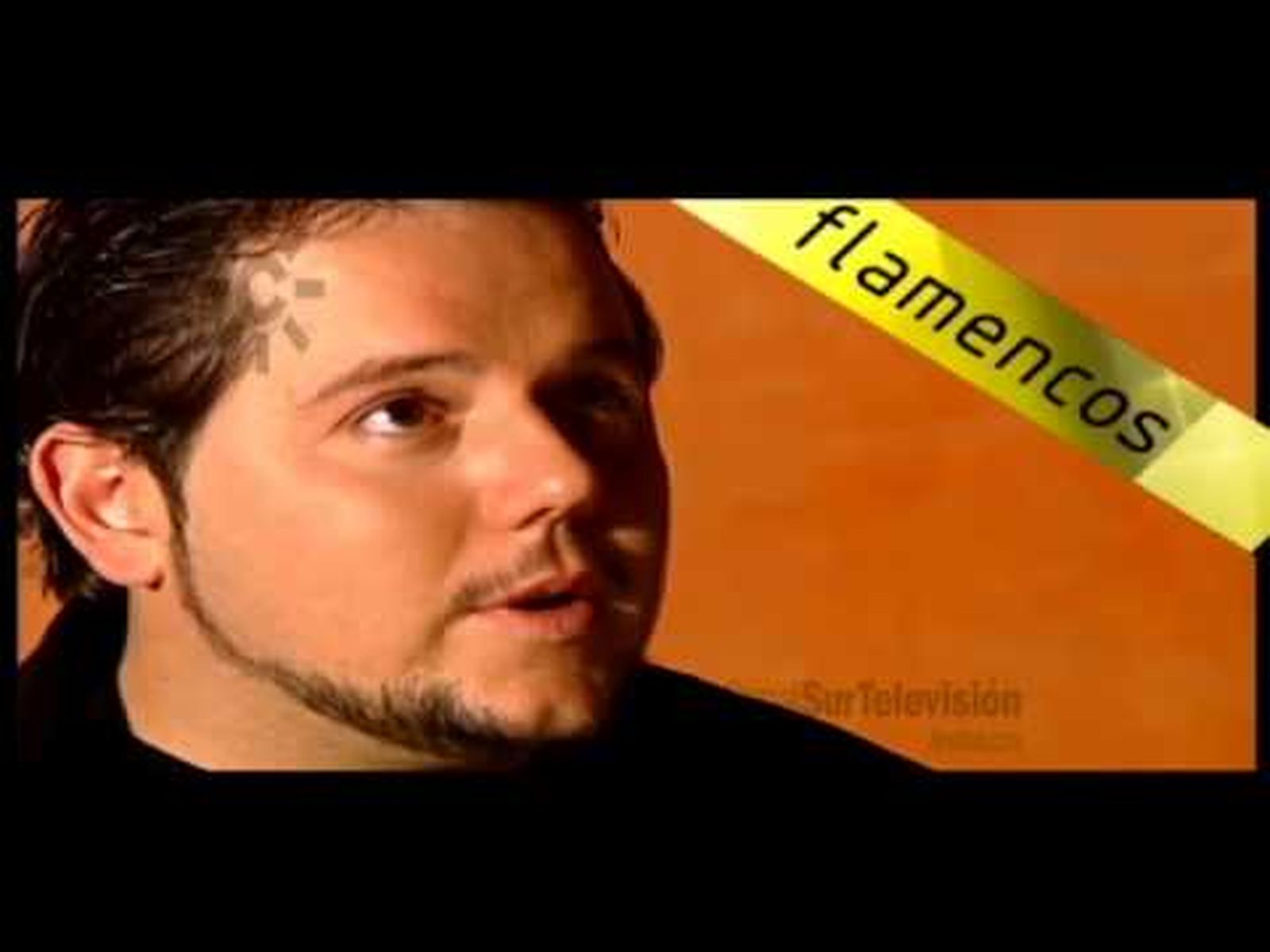 Jeromo Segura, Lámpara Minera 2013, entrevista en "Flamencos"