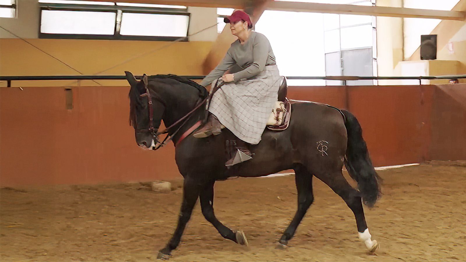 Monta a la Amazona en Alta Escuela con Rocío Moreno, campeona del mundo