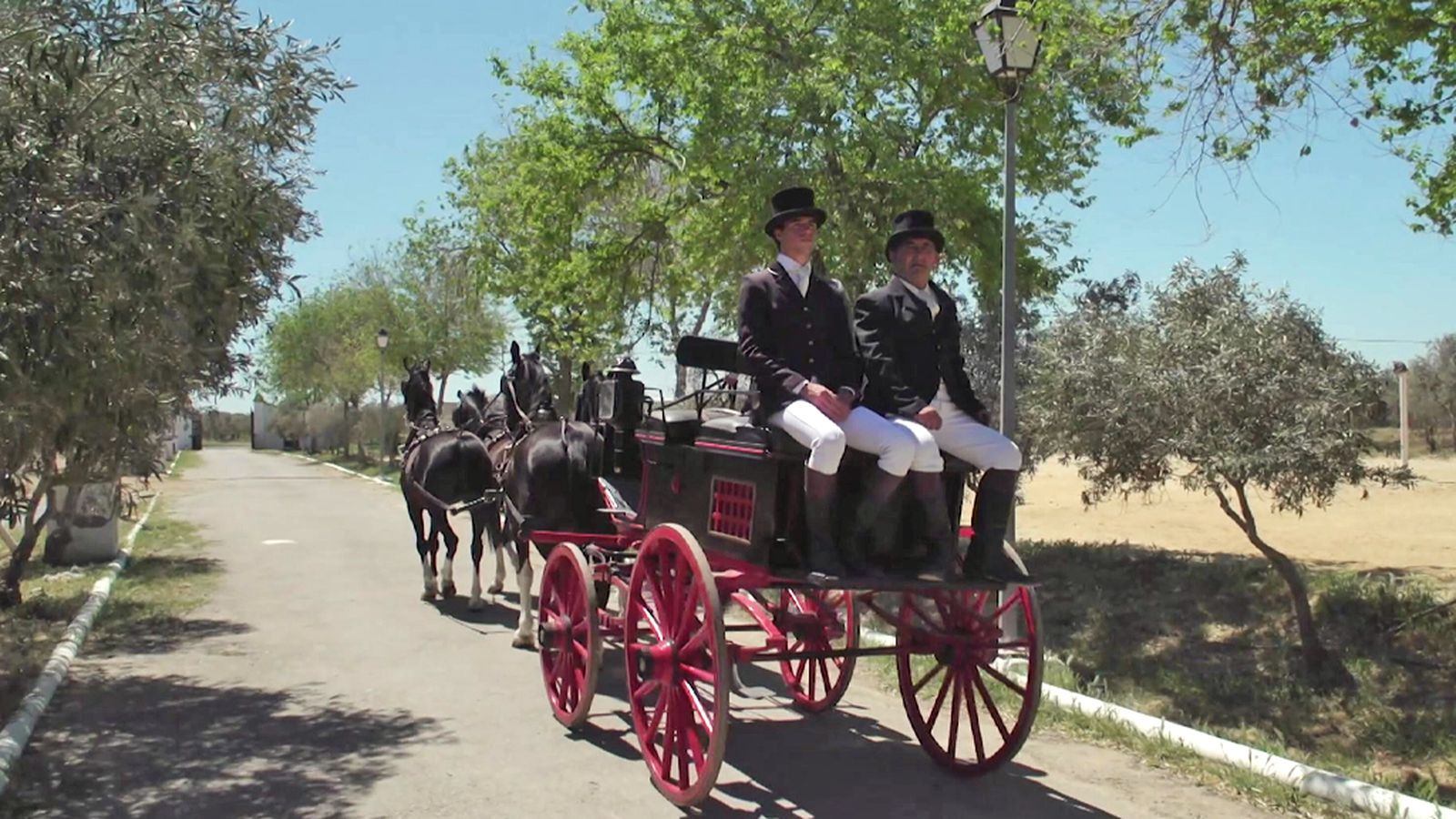 Cómo preparar un coche de caballos para la feria