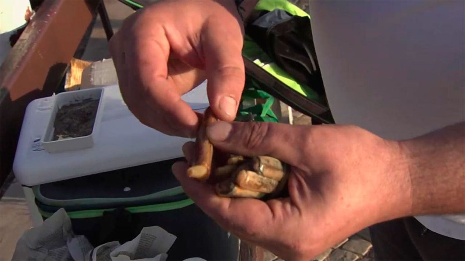 ¿Cuáles son los mejores cebos para la pesca de la dorada?