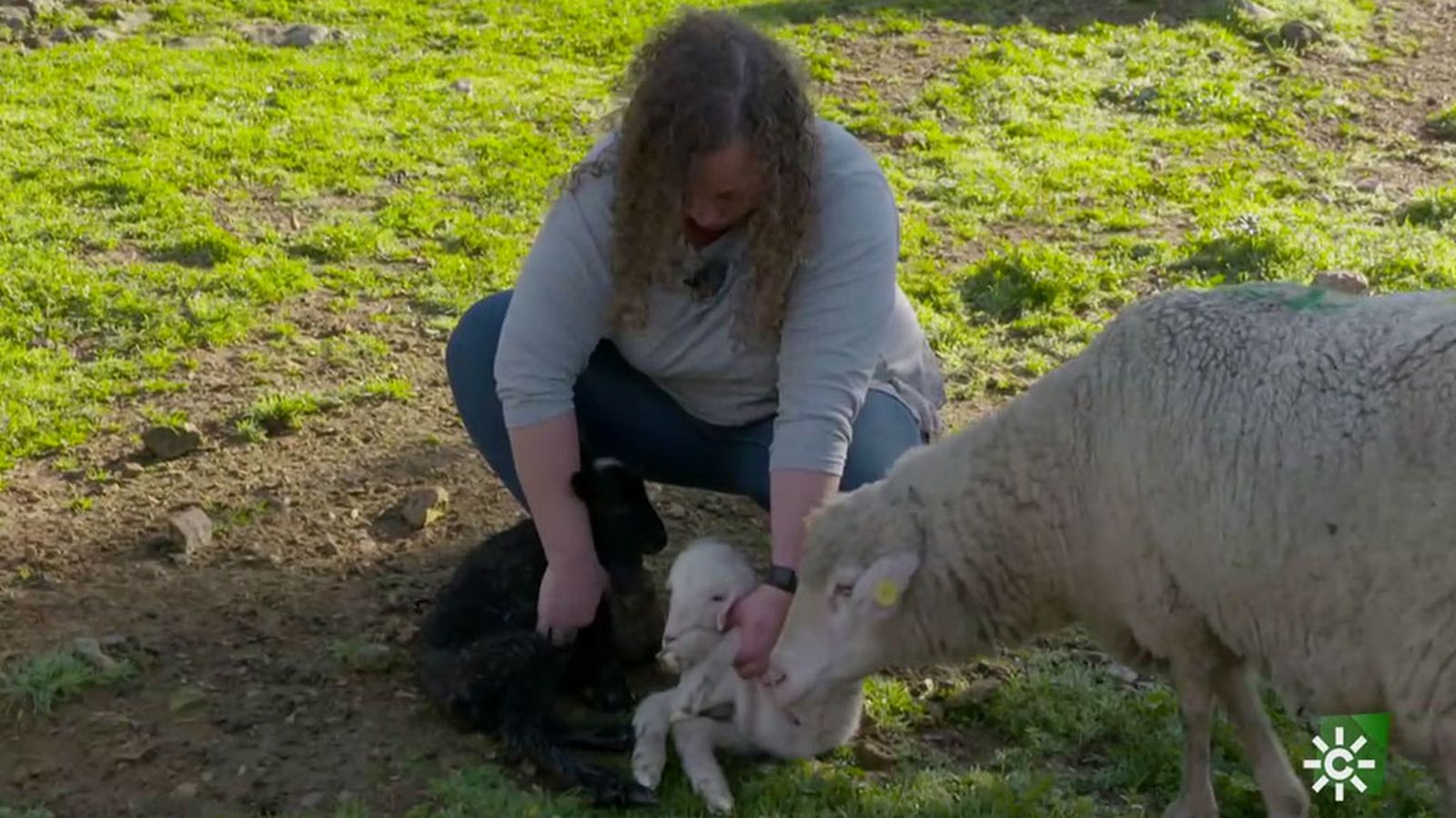 Natividad y su hija Cati al frente de su propia finca con ovejas, cerdos y gallinas