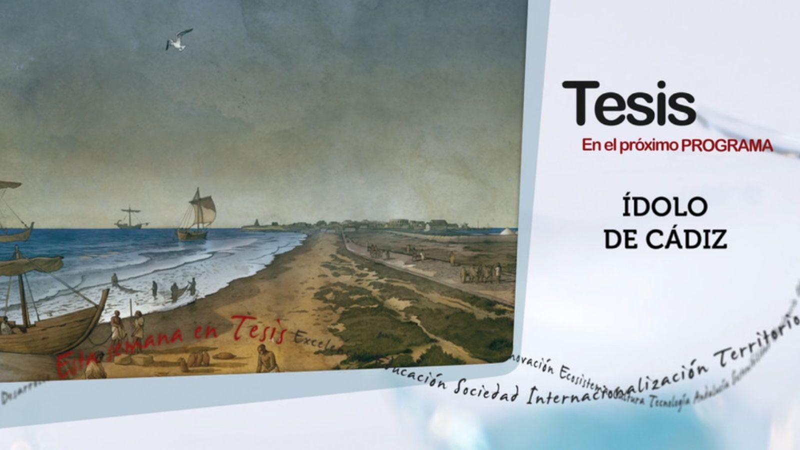 tesis canal sur
