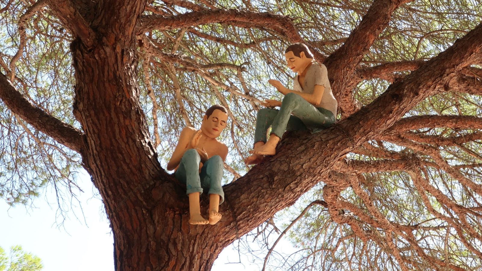 fnmac hombres arbol