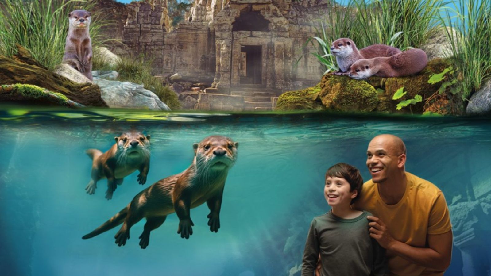 El templo de las nutrias en Sea Life