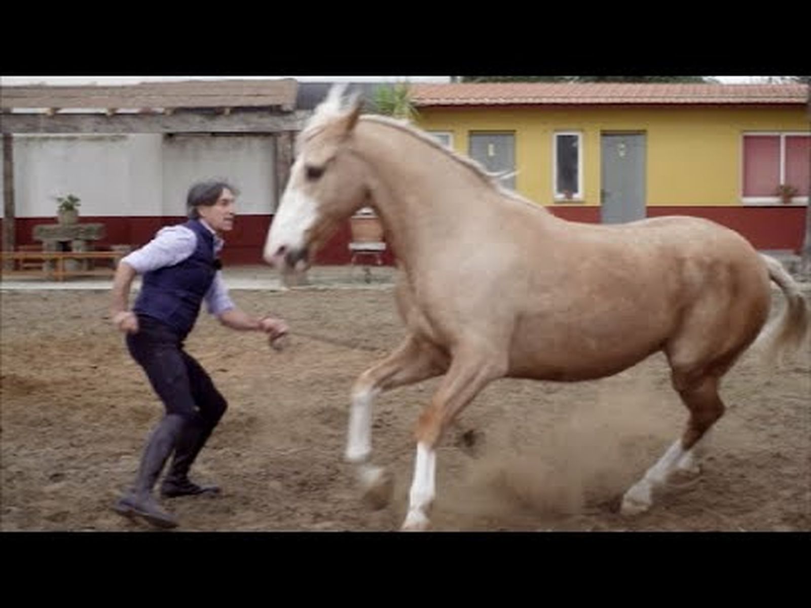 Doma natural de caballos en libertad: las claves de Carmelo Saez de Mendoza en Todo Caballo