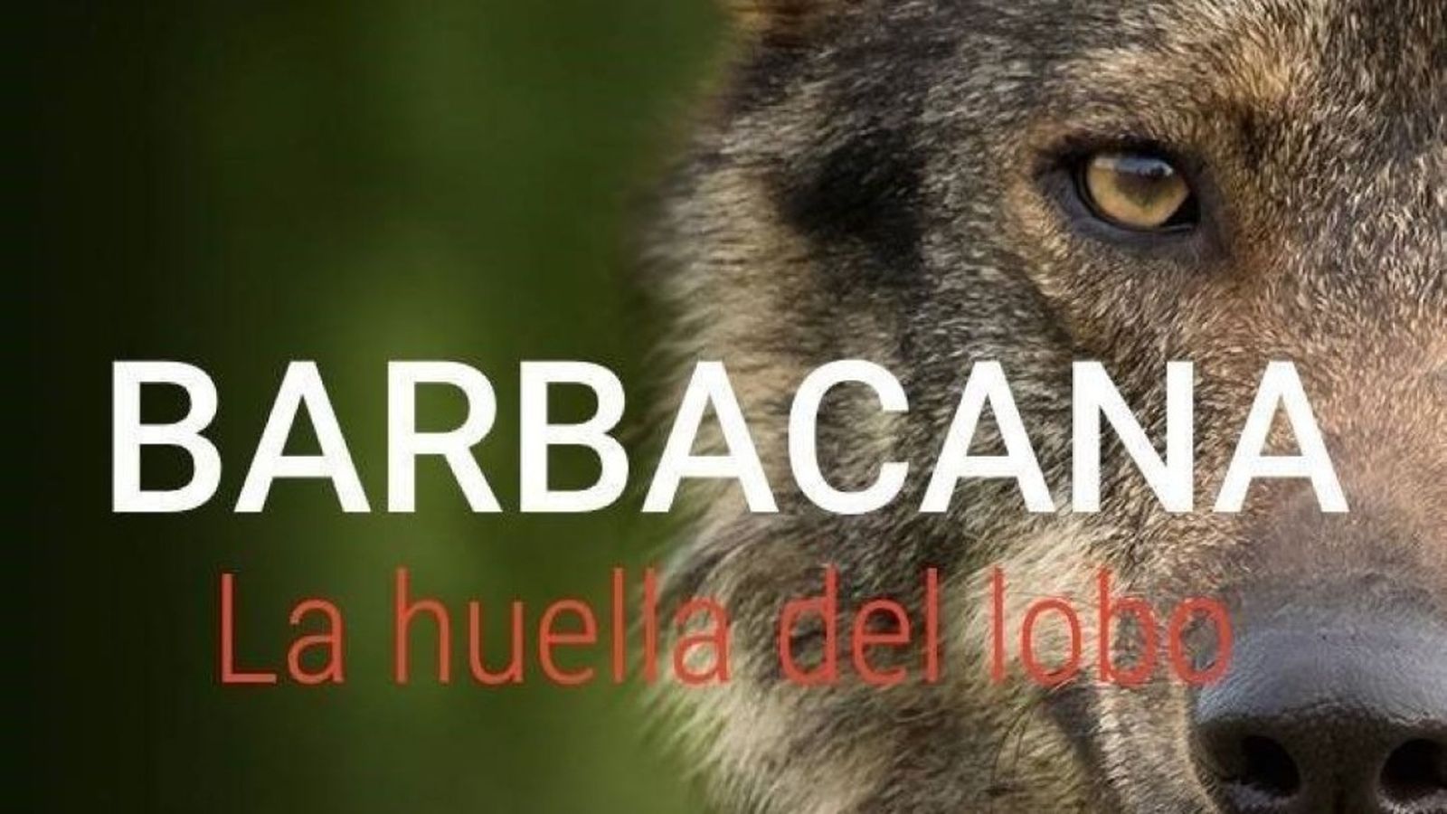 Documental Barbacana, 12 septiembre