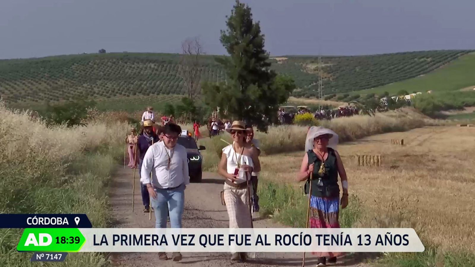 Camino del Rocío con la Hermandad de Córdoba