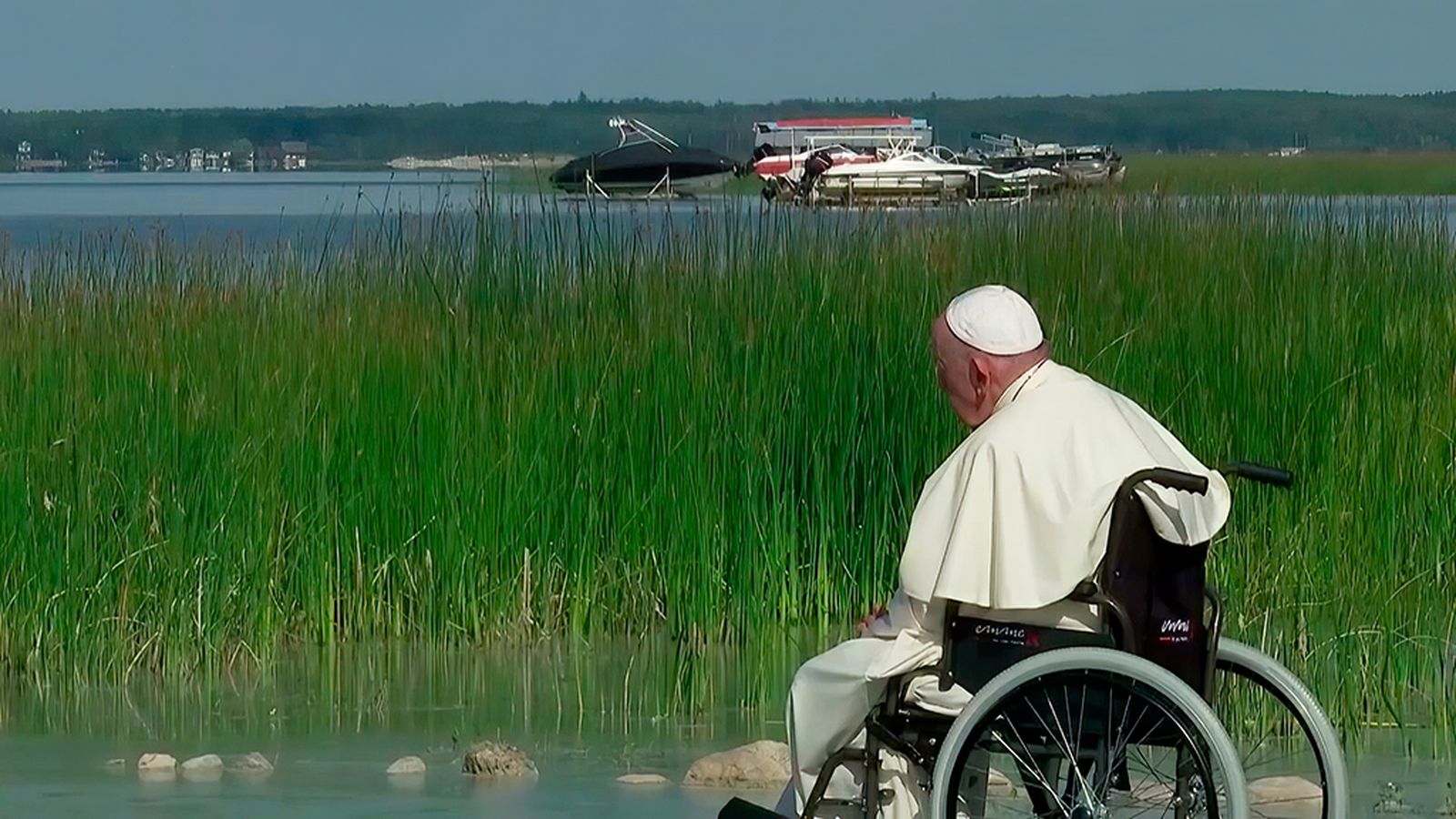 El papa ecologista