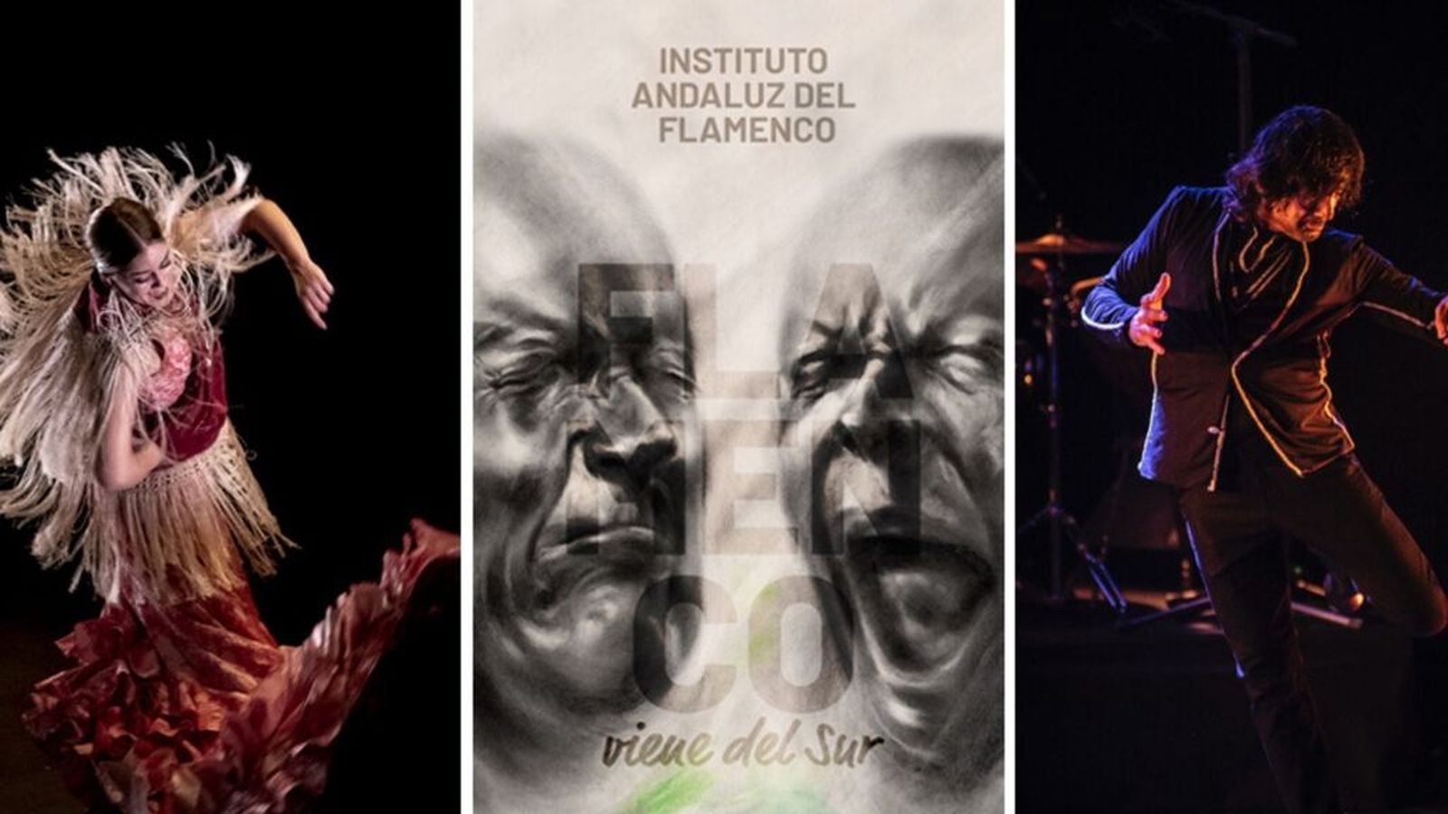 Viene del Sur
